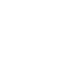 ONE PPF crown mark, white