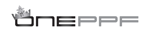 ONE PPF black logo on white