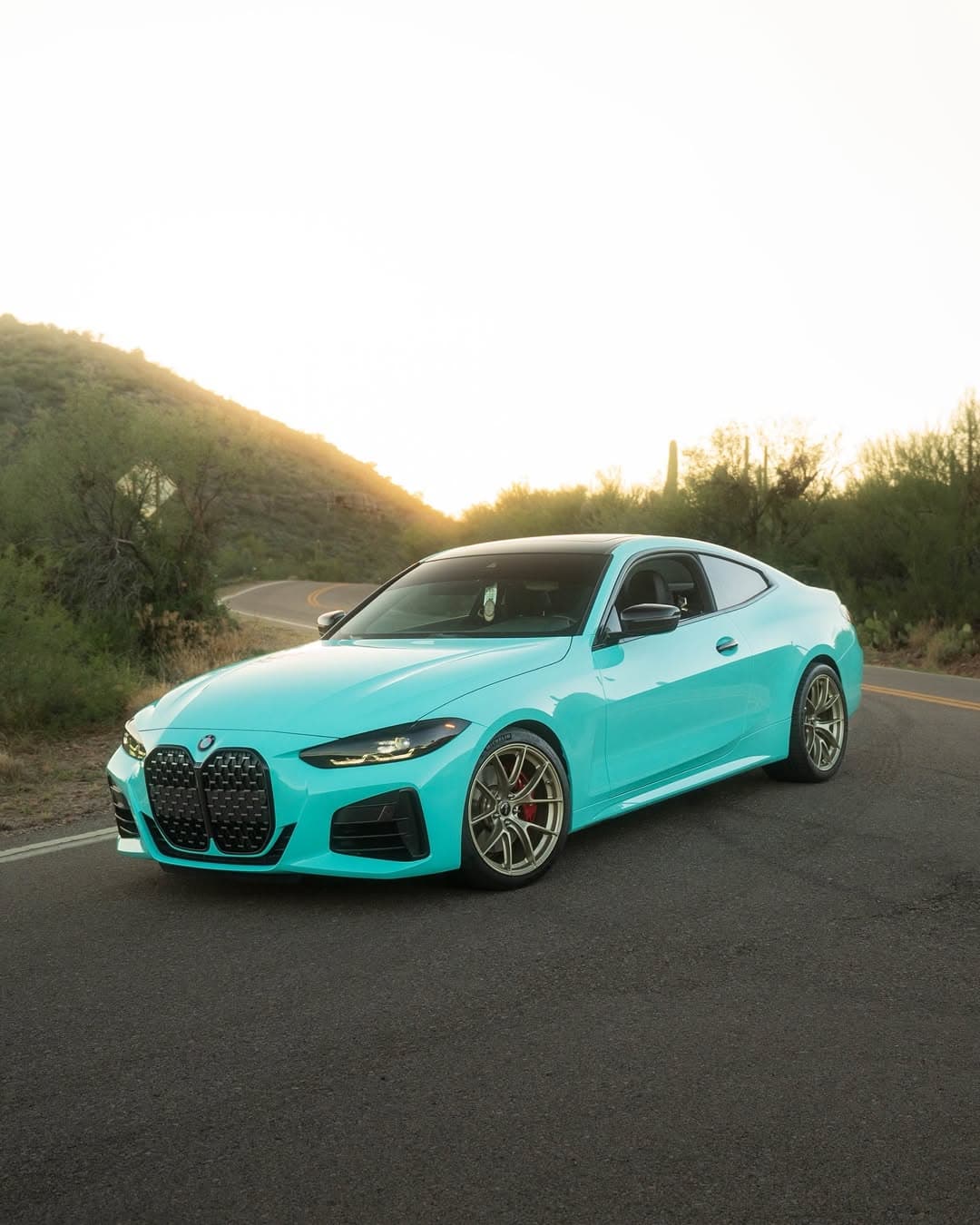 Tiff Blue on BMW, Clear Choice Autoshield