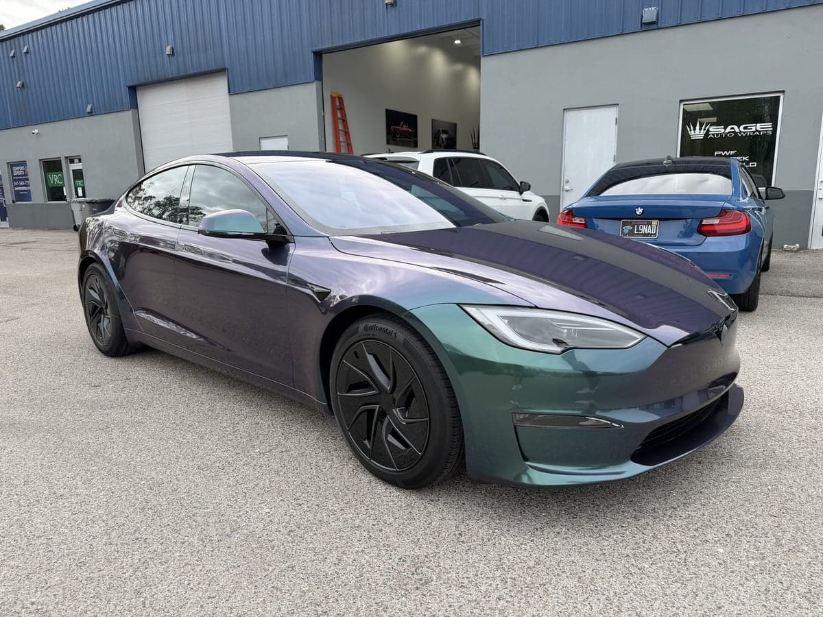 Venomous Cobra on Tesla Model S