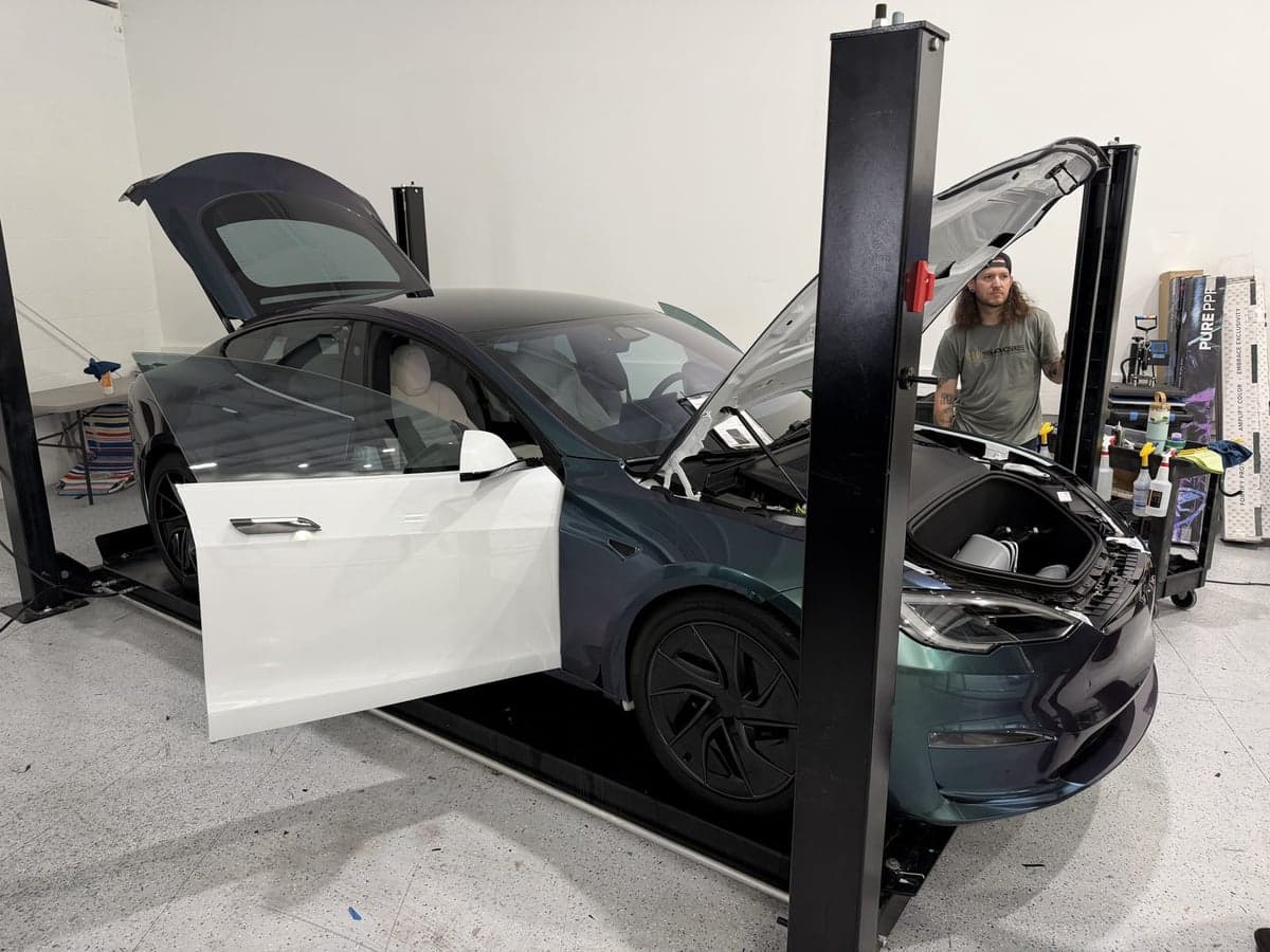 Venomous Cobra on Tesla Model S