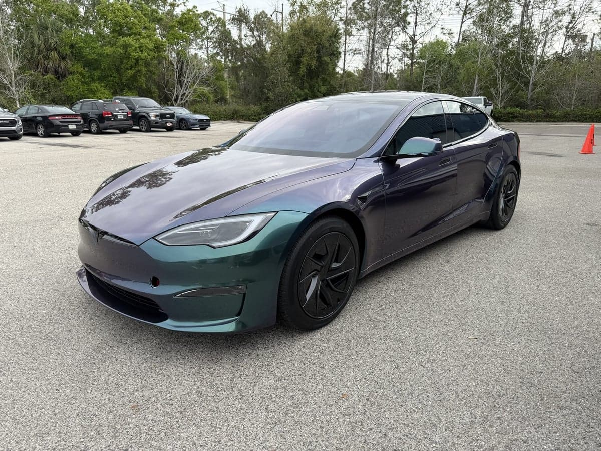 Venomous Cobra on Tesla Model S