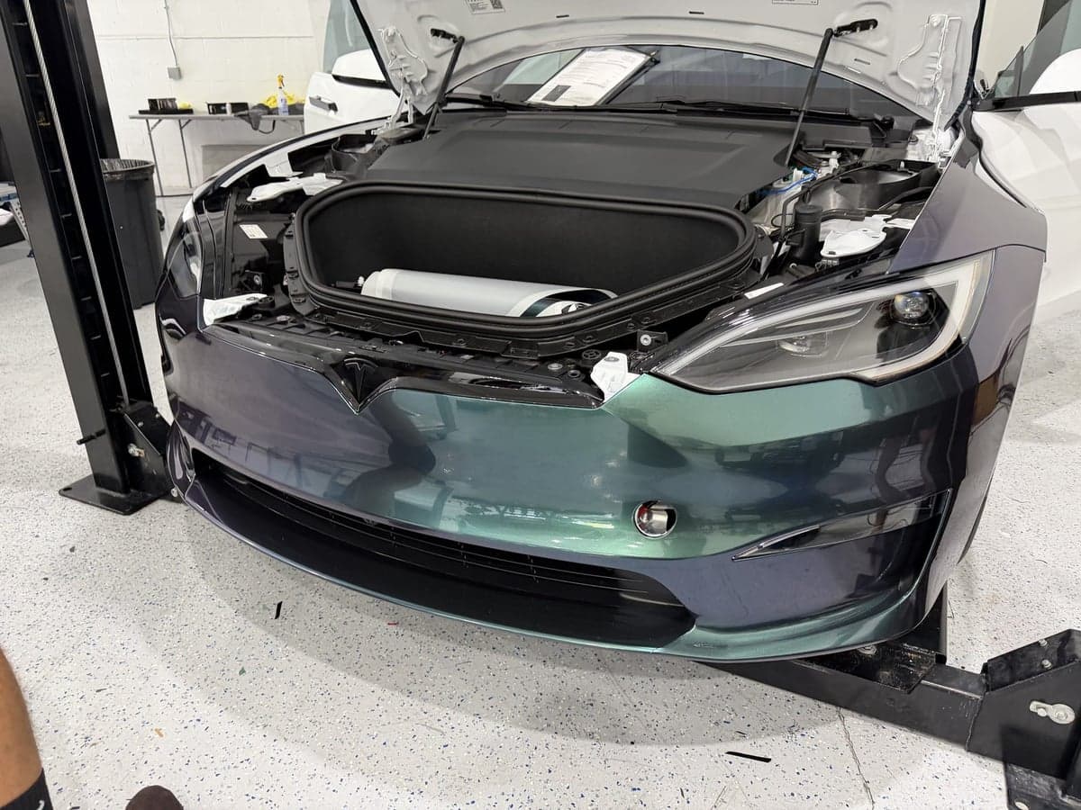 Venomous Cobra on Tesla Model S