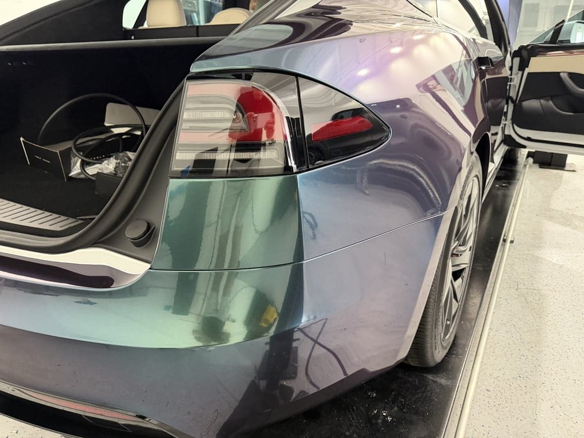 Venomous Cobra on Tesla Model S
