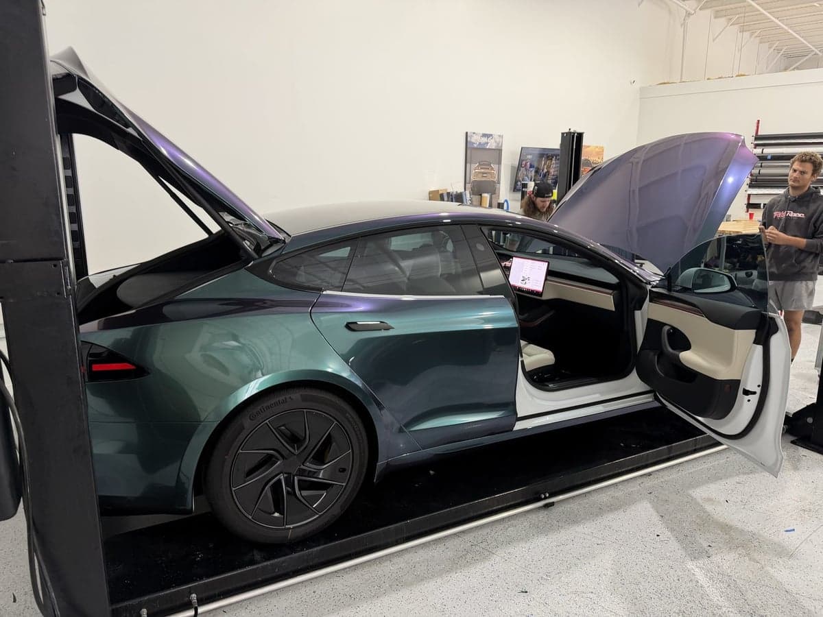 Venomous Cobra on Tesla Model S
